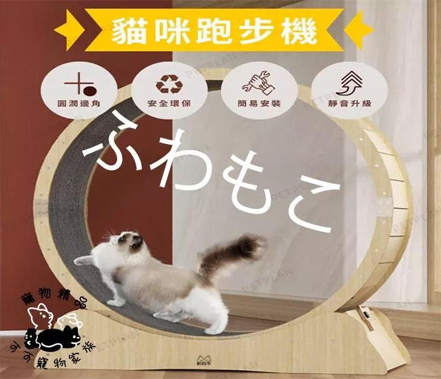 貓咪健身跑道
