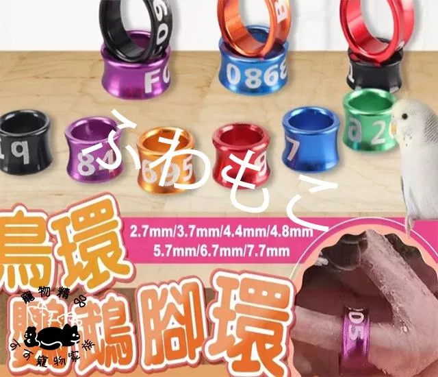 鳥環鸚鵡腳環