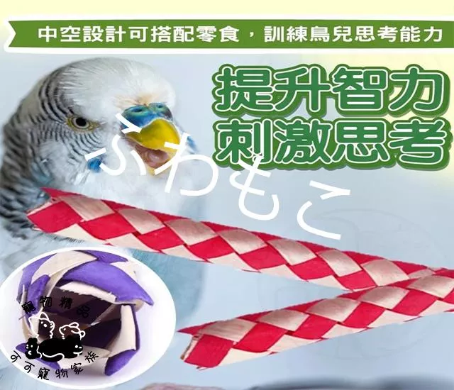 鸚鵡啃咬編織玩具