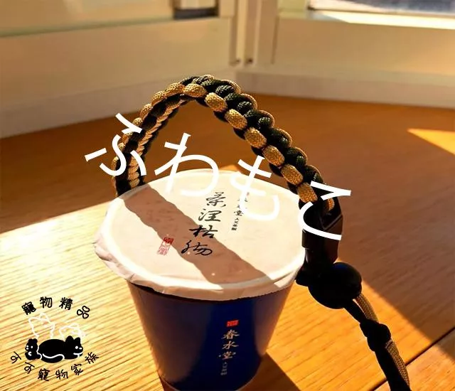N織夢-人寵同款編織提杯