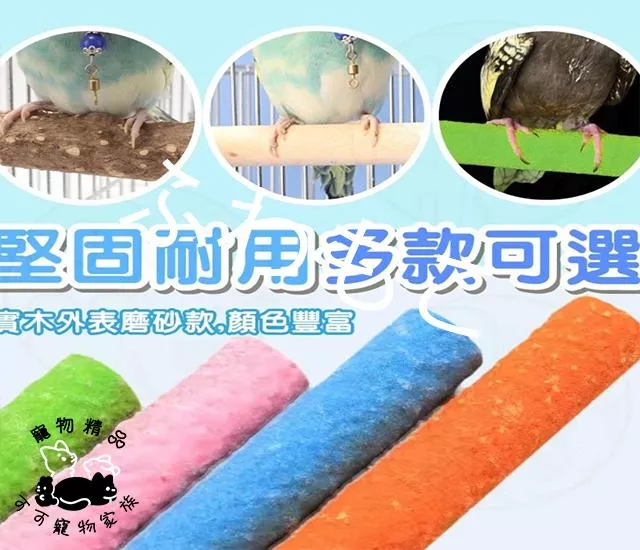 鸚鵡啃咬彩色編織管玩具