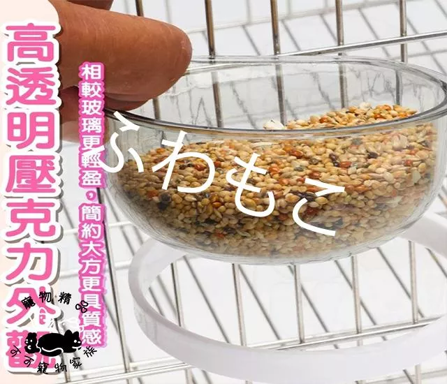 透明飼料碗