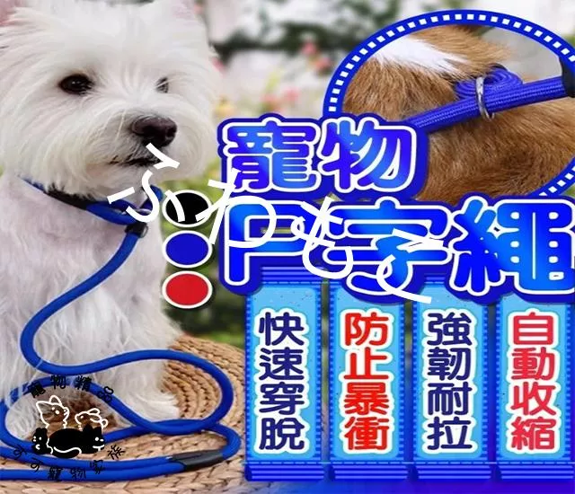寵物P字繩