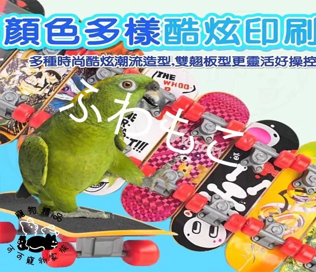 小寵滑板車