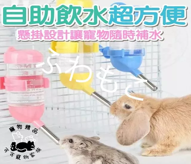 倉鼠滾珠水瓶