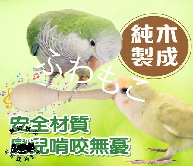 鸚鵡沙鈴玩具