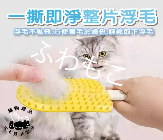 寵物浮毛梳