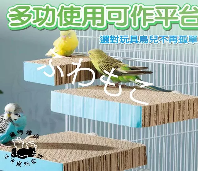鸚鵡可掛籠紙千層紙板平台