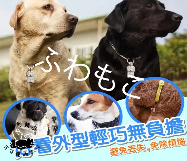 寵物防丟膠囊