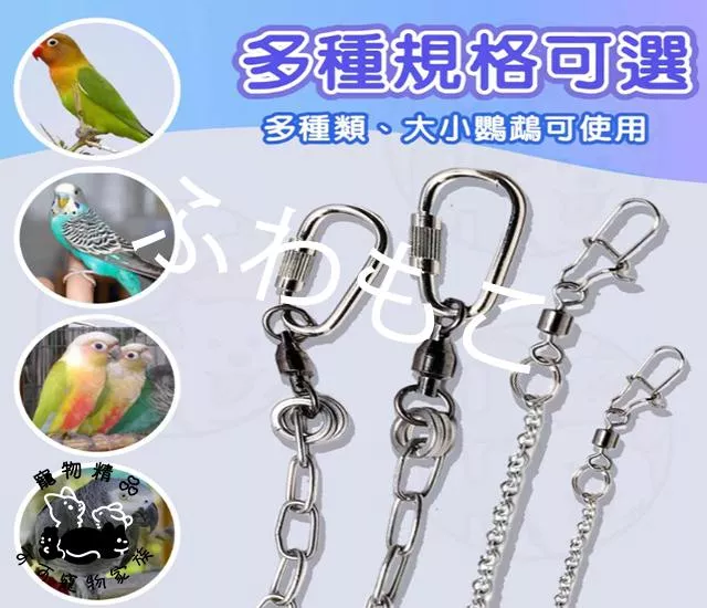 不鏽鋼鸚鵡腳鍊