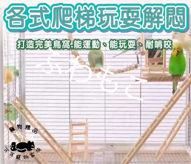 鳥玩具實木爬梯