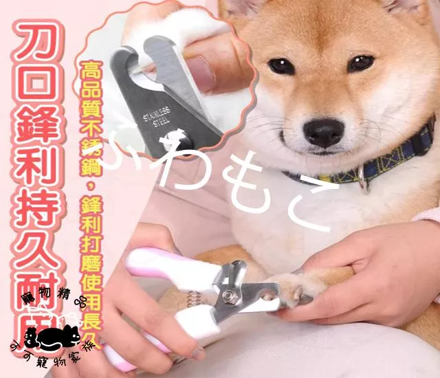 彈簧設計指甲剪