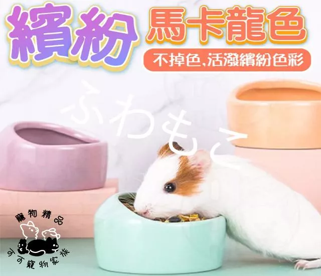 小寵陶瓷碗