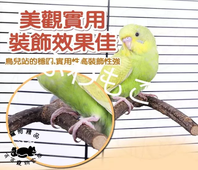 鸚鵡磨爪站棒