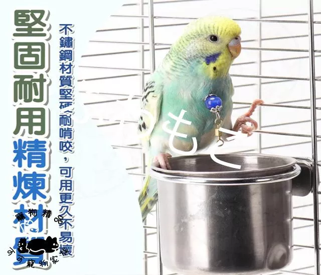 鳥用不鏽鋼夾杯