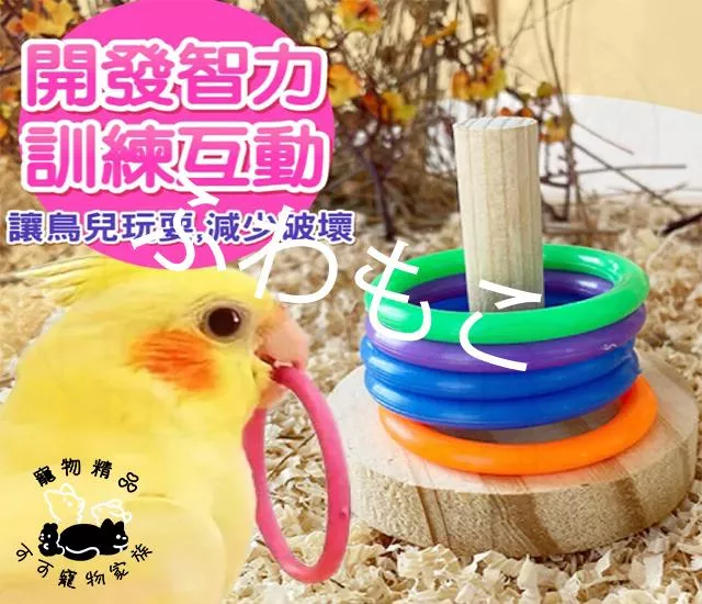 鸚鵡益智套圈遊戲