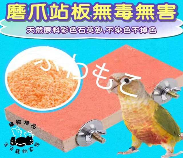 鸚鵡磨砂跳台 (顏色隨機)