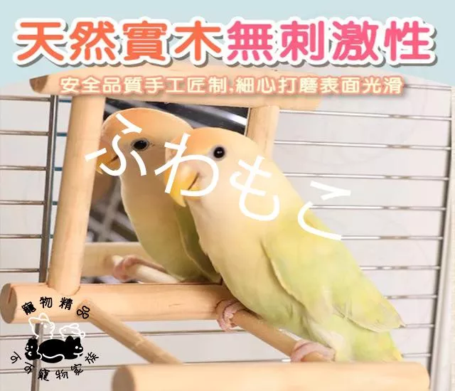 松木鏡子鳥站架