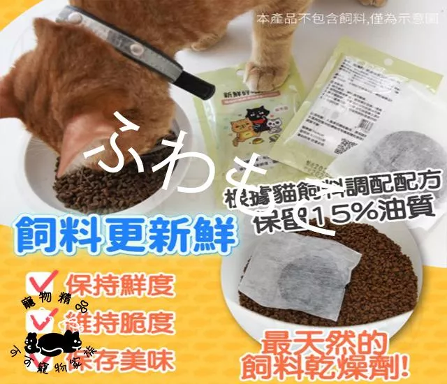 貓樂園新鮮好喵招