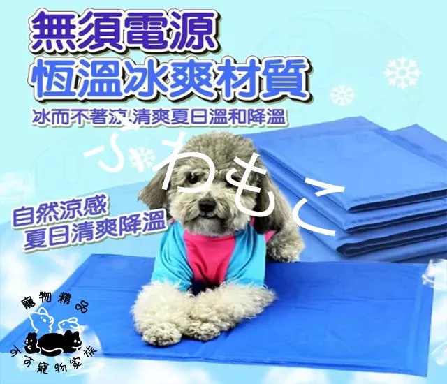 寵物冰墊