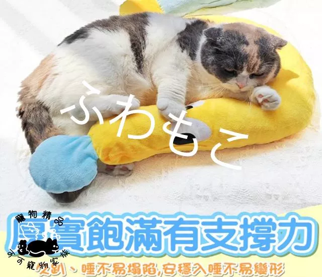 寵物問號造型枕頭
