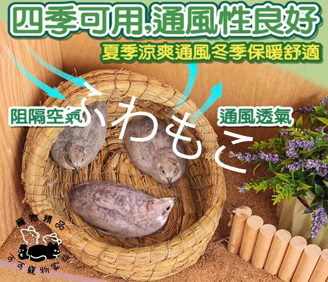 拖鞋草窩