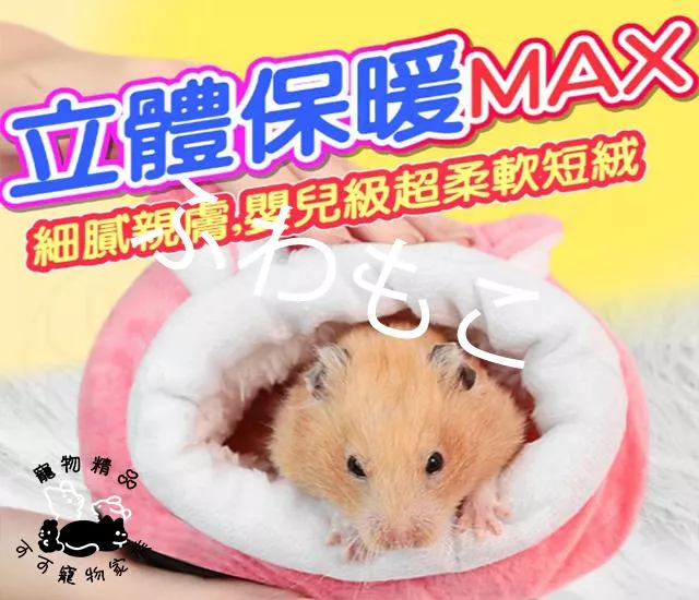 小寵立體造型窩
