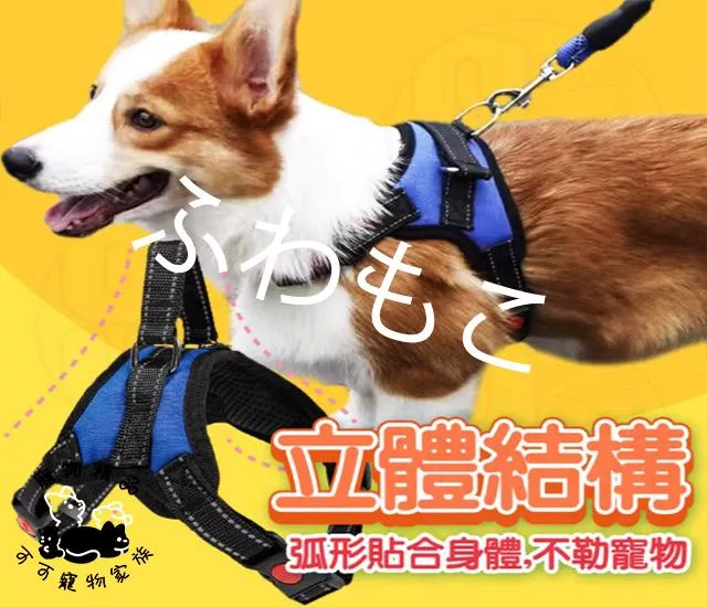 防暴衝胸背帶