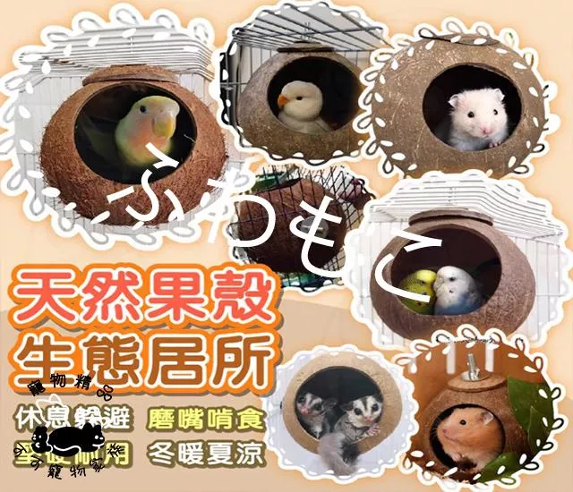 天然椰殼小屋