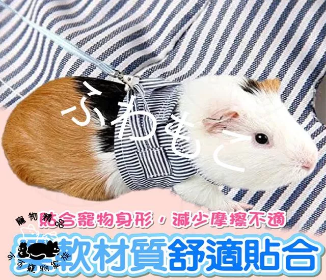 小寵胸背帶
