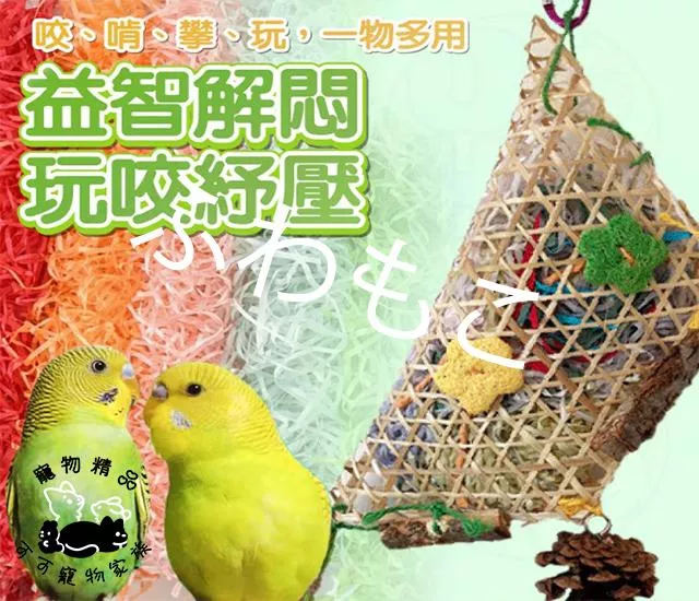 鸚鵡撕扯玩具
