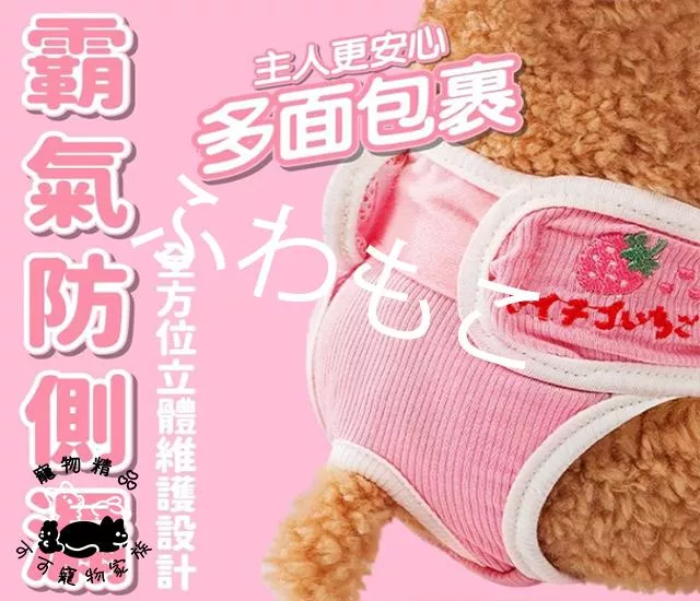 母狗月經褲