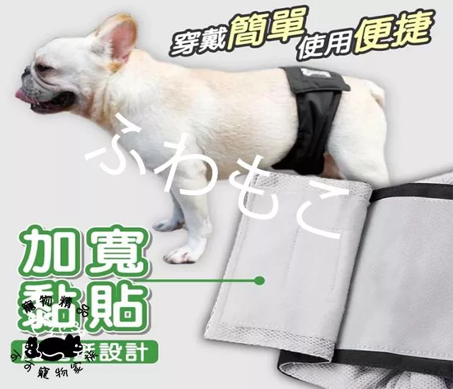 公狗禮貌帶