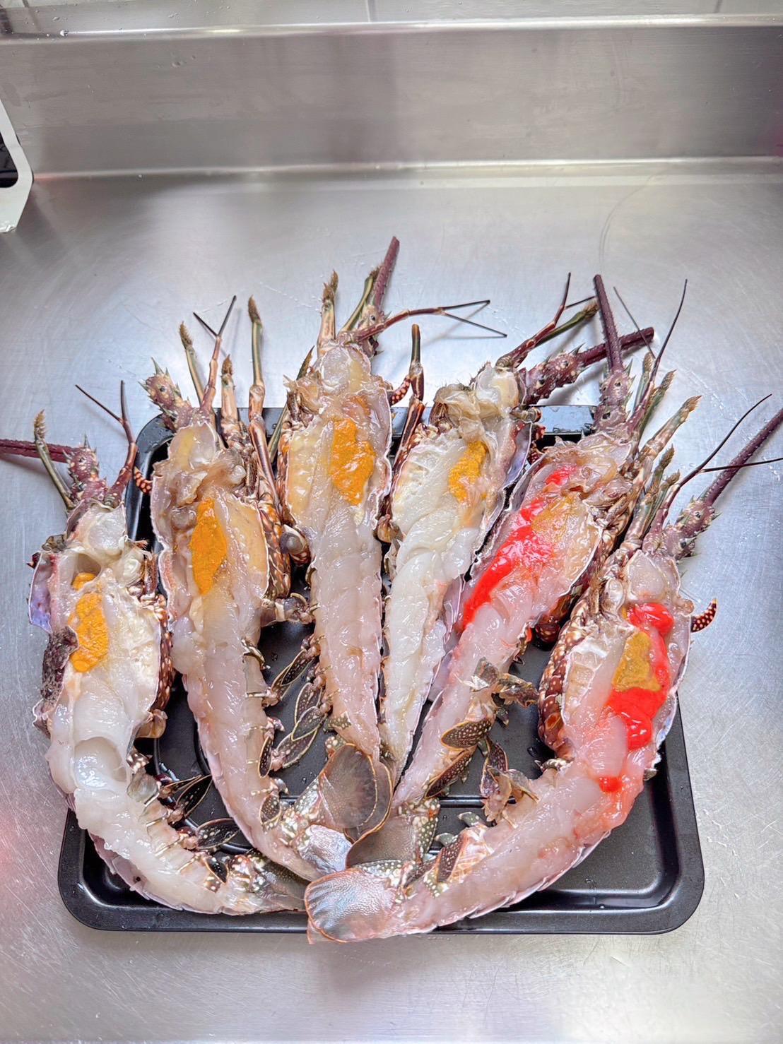 巴西龍蝦