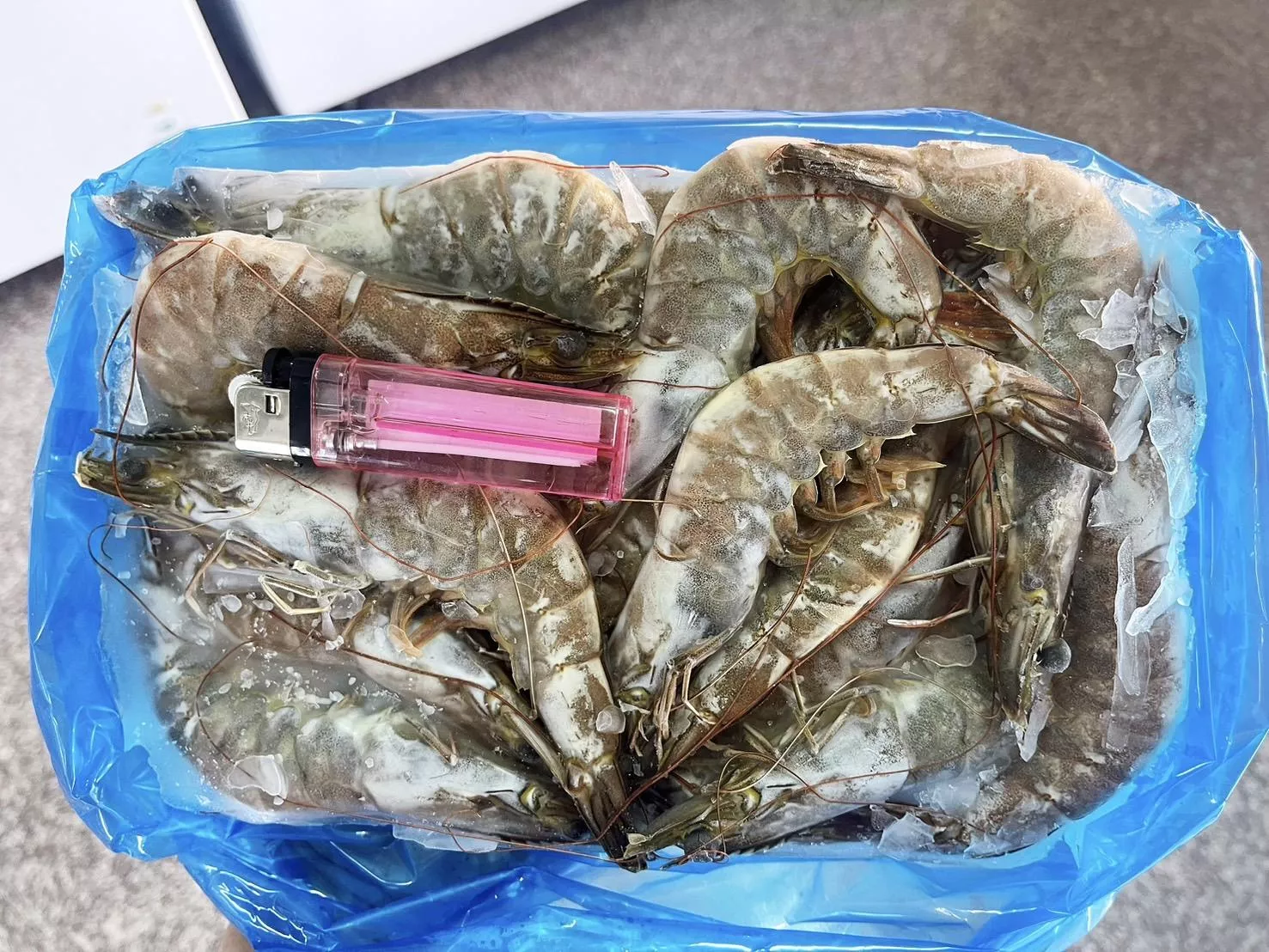 泰國養的白蝦