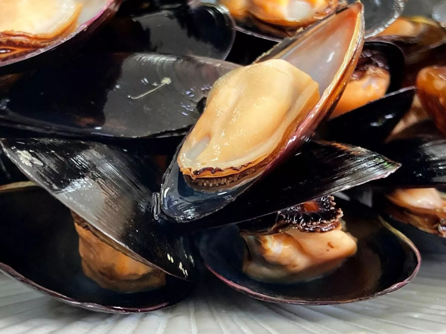 紐西蘭-半殼熟淡菜