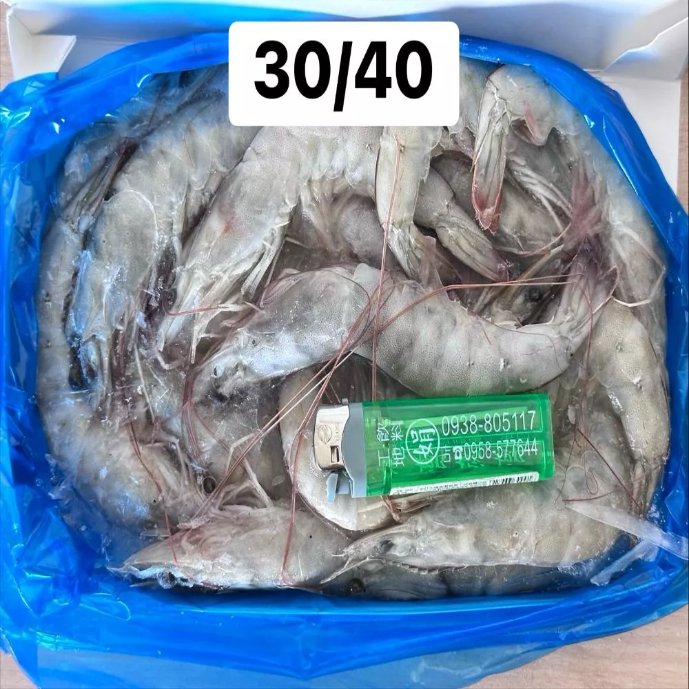 南美白蝦