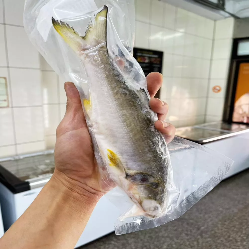 三去午仔魚