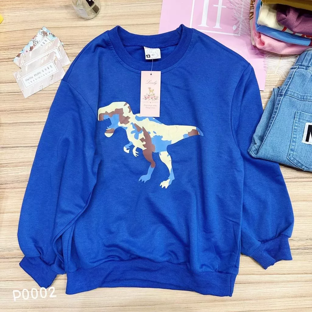 北屯實體店❤現貨 恐龍圓領大學T 長袖上衣✩米米童著-P0002