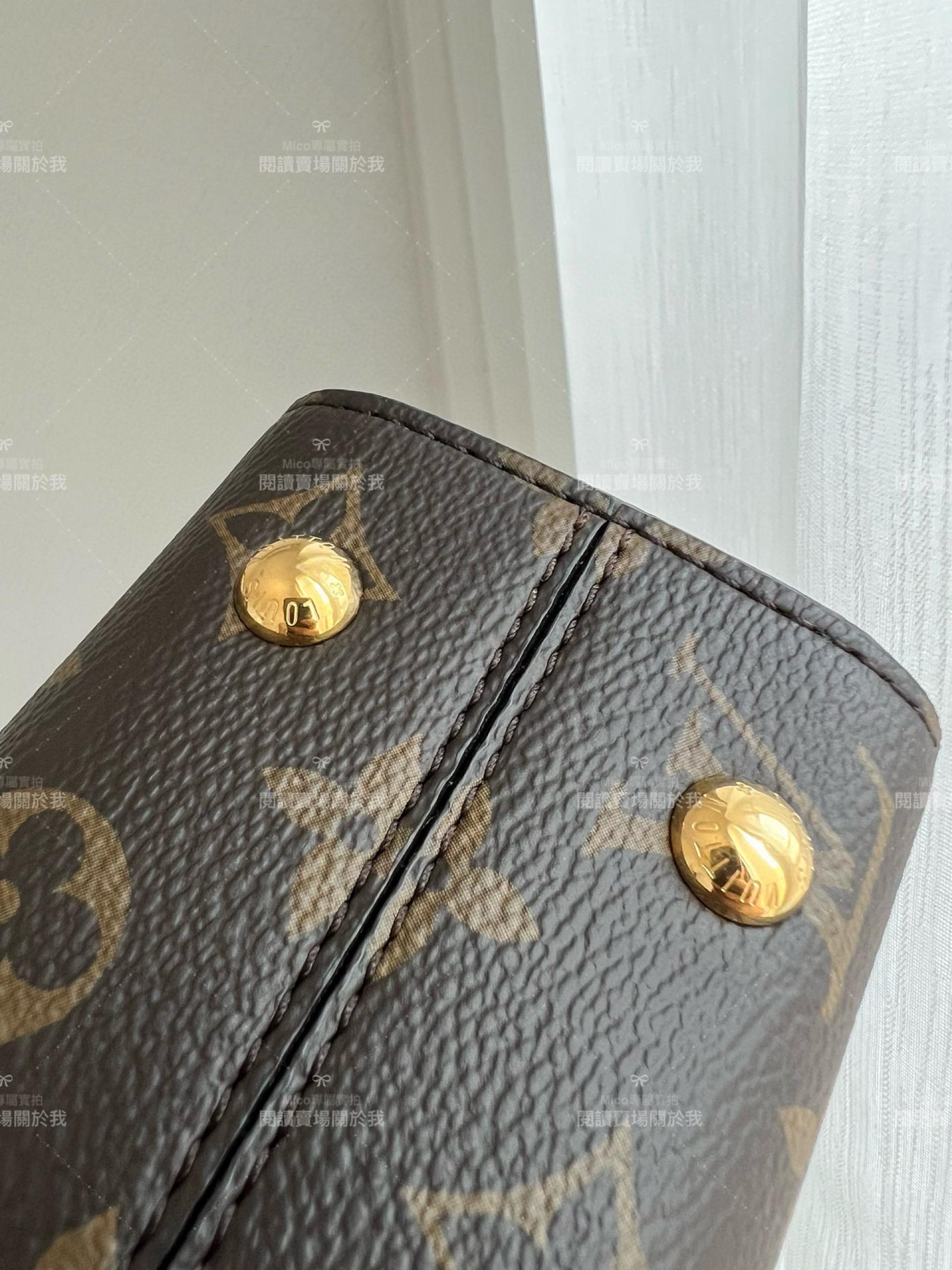 LV CLUNY 迷你手袋 M46055 搭配寬肩帶 20cm