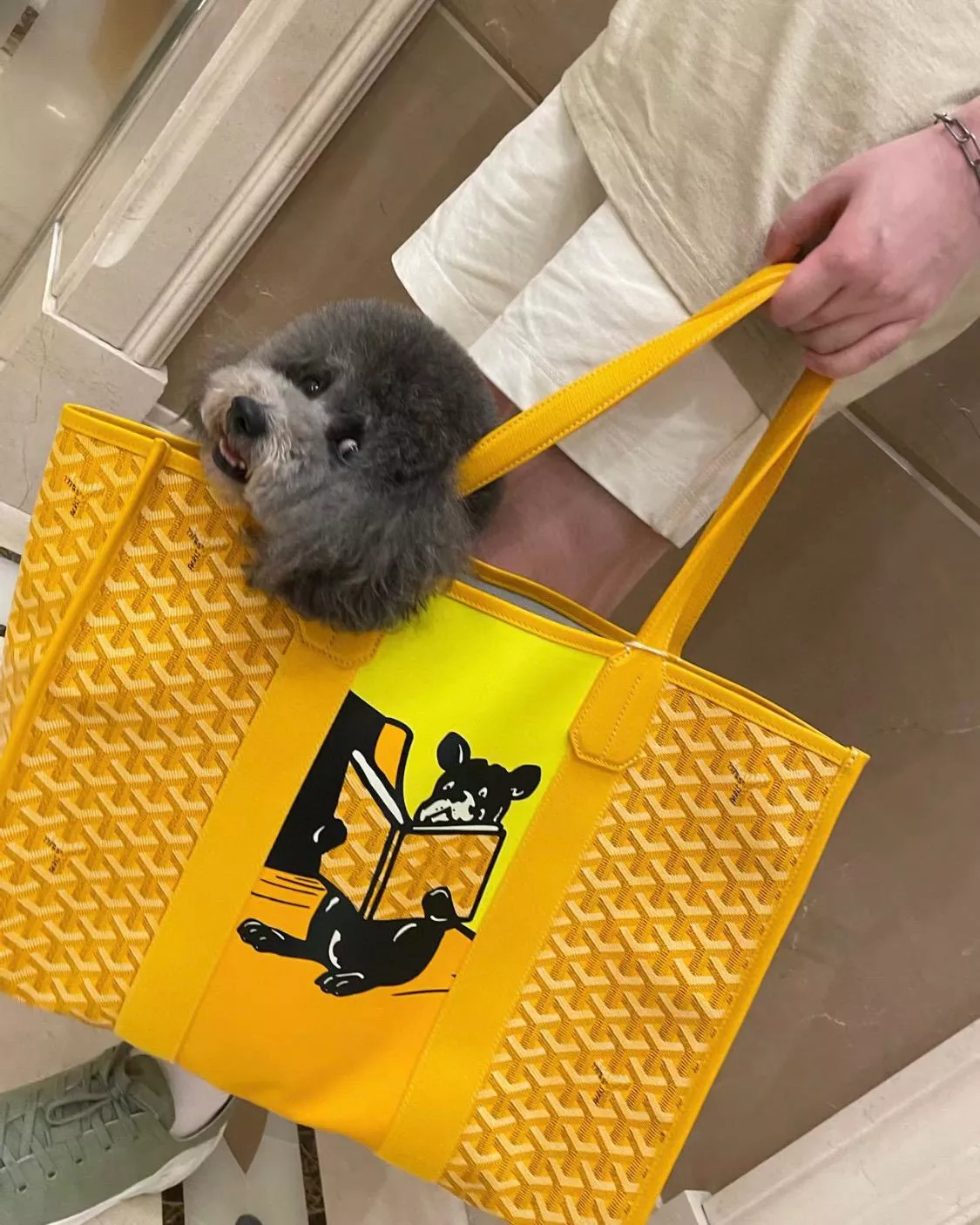 Goyard villette tote彩繪法鬥🐶托特包 黃色 寵物包/通勤包/大包 45cm