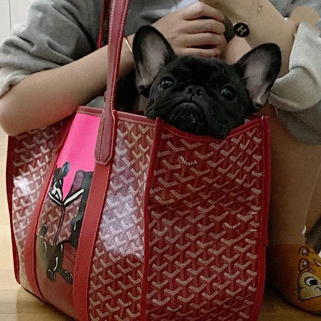 Goyard villette tote彩繪法鬥🐶托特包 暗紅色 寵物包/通勤包/大包 45cm