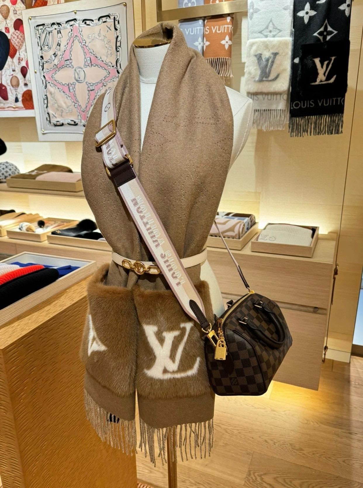 Lv 咖色/棋盤格 Speedy Bandoulière 20 手袋 枕頭包 N40489