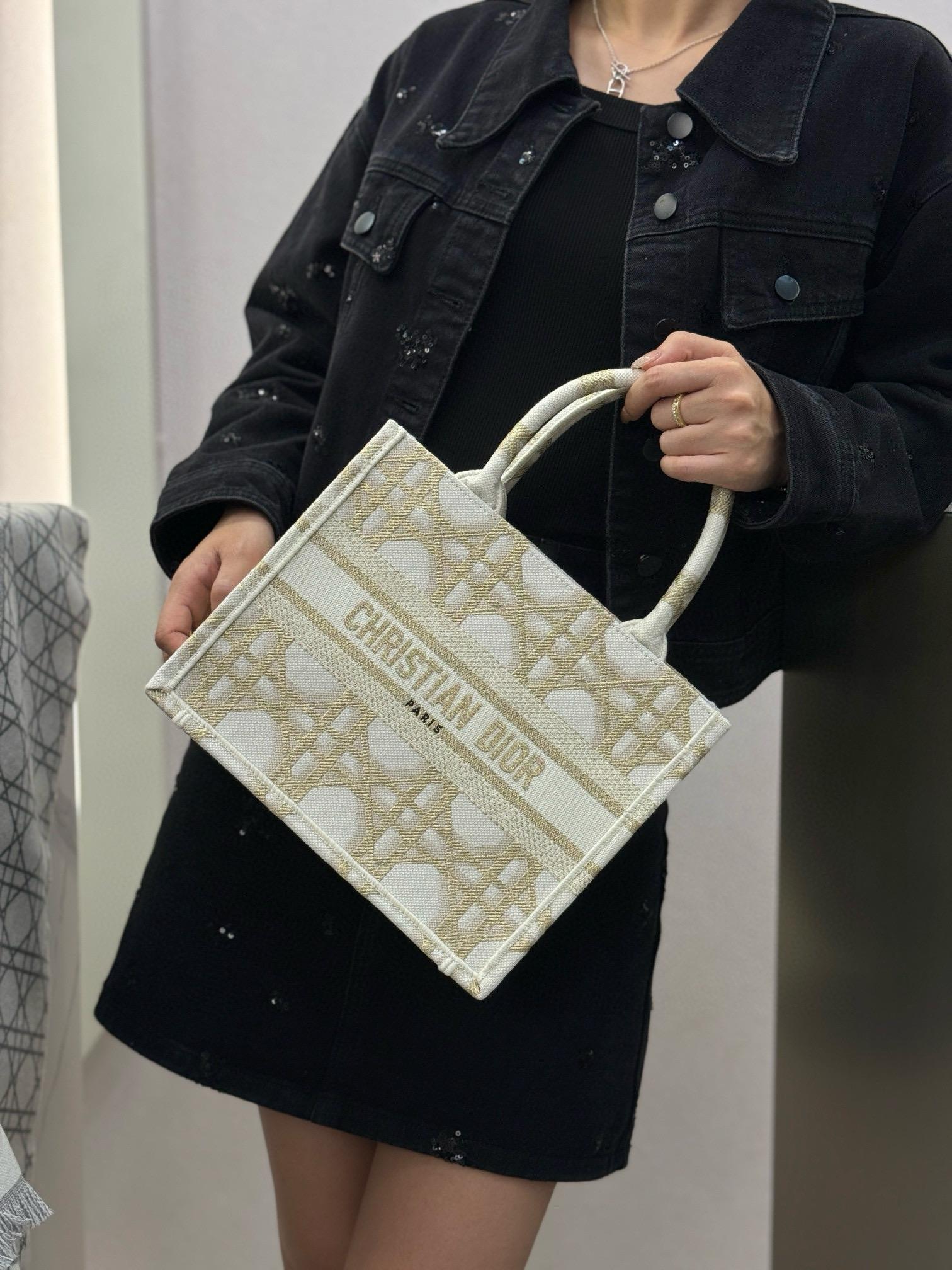 Dior BookTote 小號刺繡托特包/手提包 26.5cm