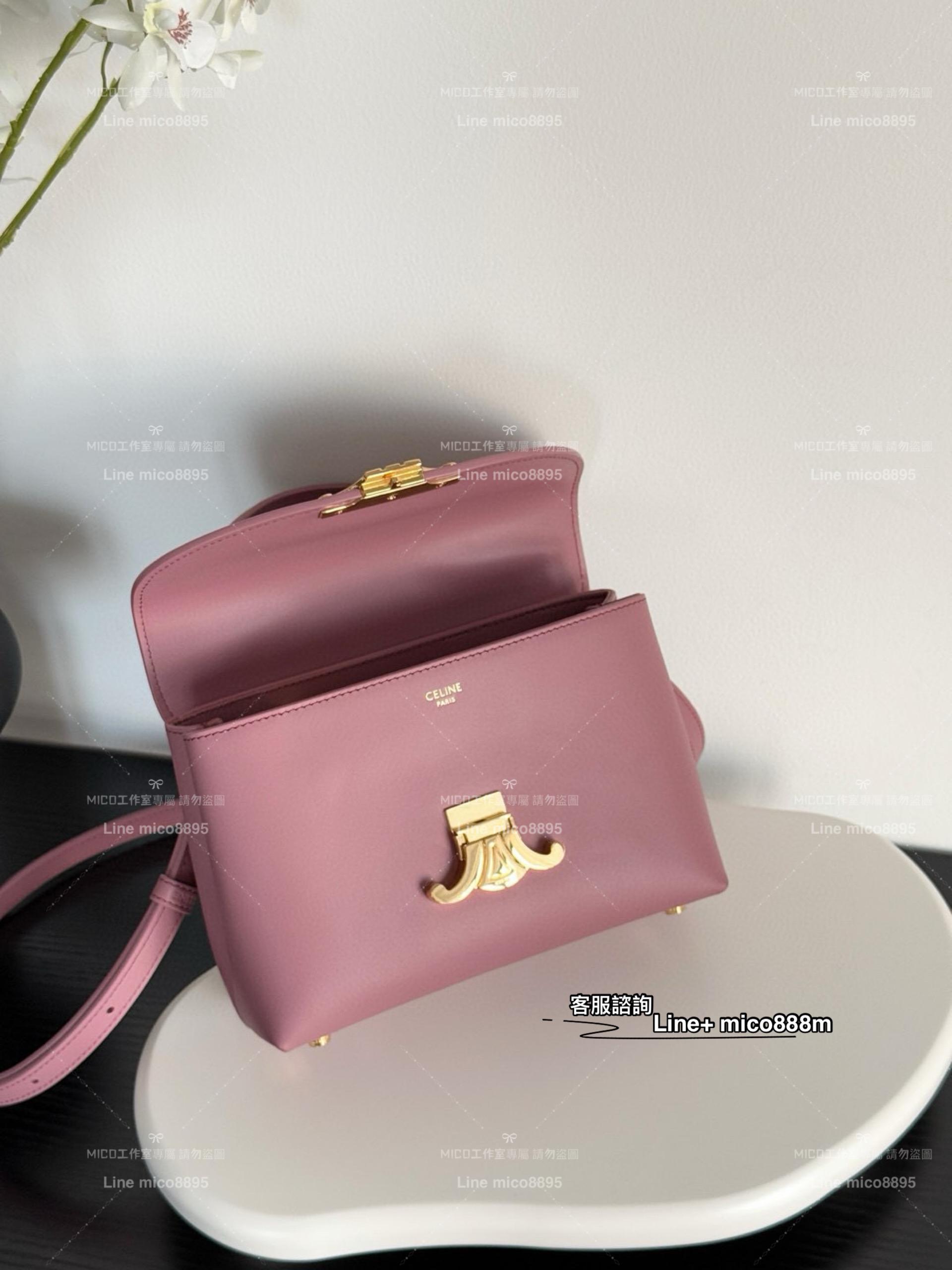 Celine Teen Nino 20.5cm 乾燥玫瑰粉