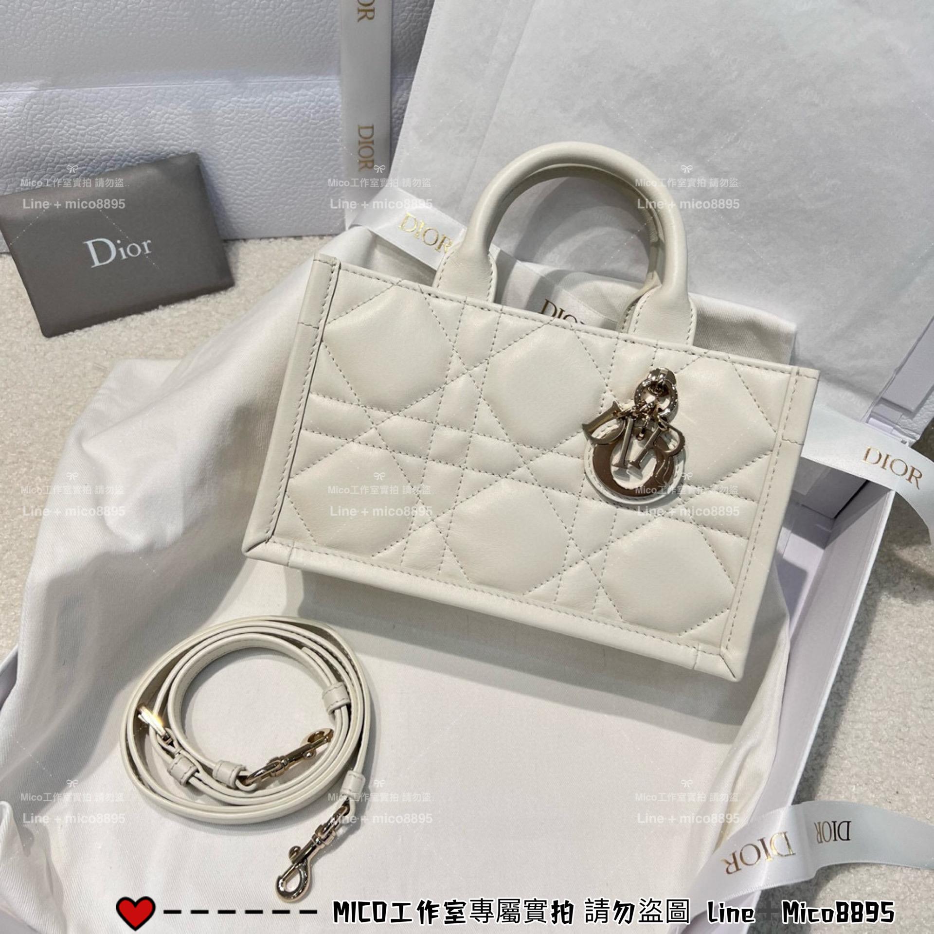 DIOR 全牛皮革/全鋼五金 Book Tote 迷你斜挎包 21cm