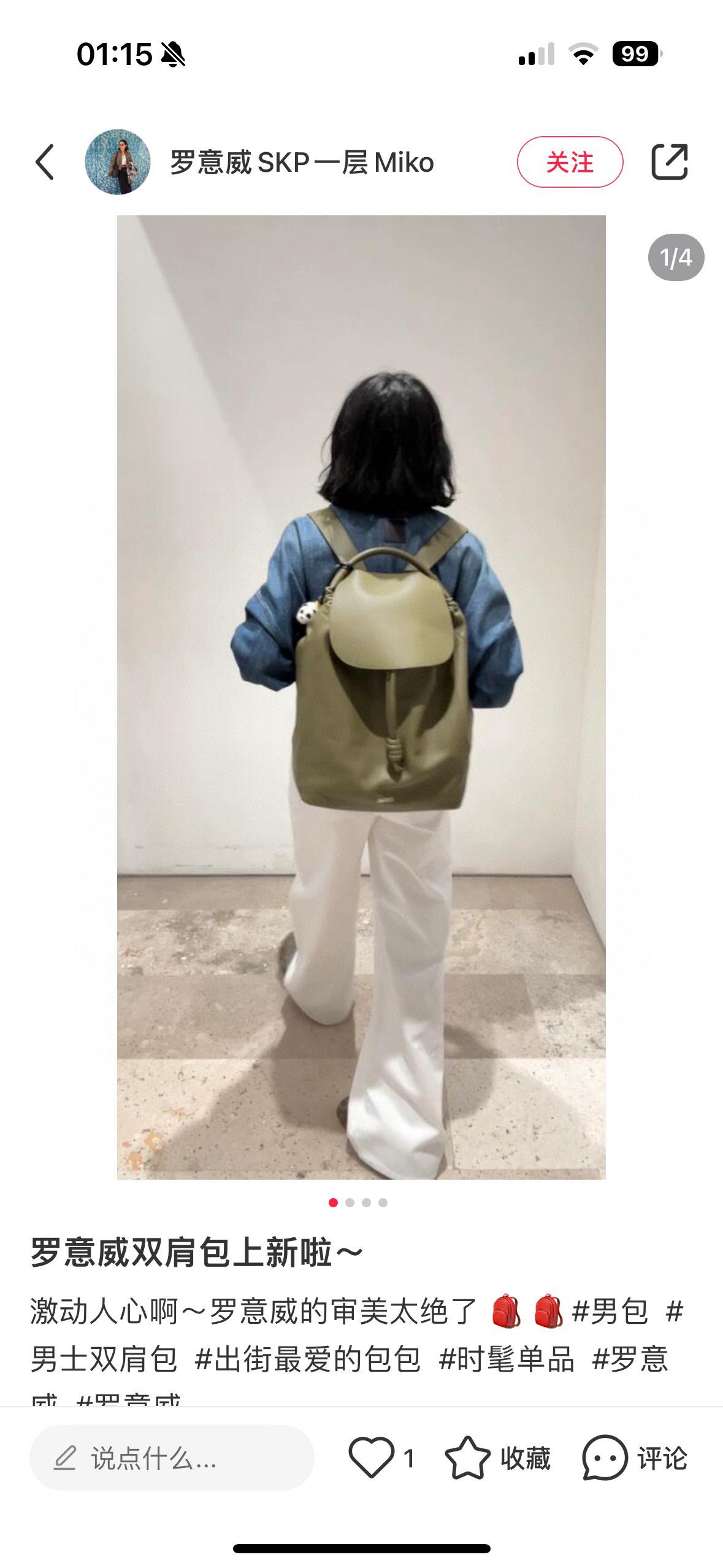 Loewe 橄欖綠 Flamenco backpack in shiny supple calfskin 雙肩背包/後背包 36*40cm