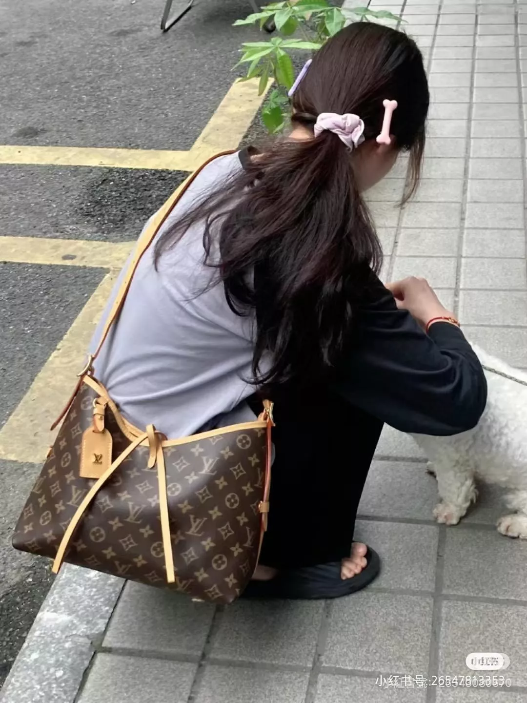 LV 小號 M46203 CarryAll PM 老花肩背包/斜跨包 29cm