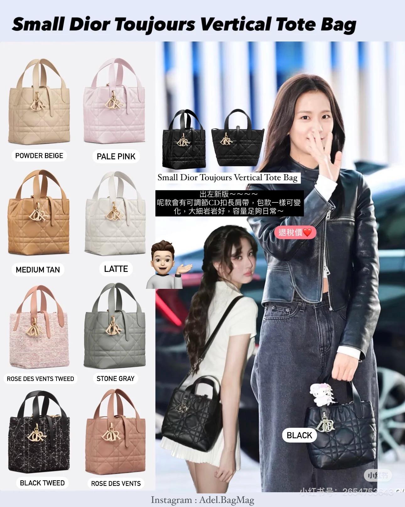 DIOR 中號 白色/杏色/黑色/粉色/石灰色/焦糖色 柔軟小牛皮 Toujours 中型直式托特包/菜籃子 手提斜挎包 23*24cm