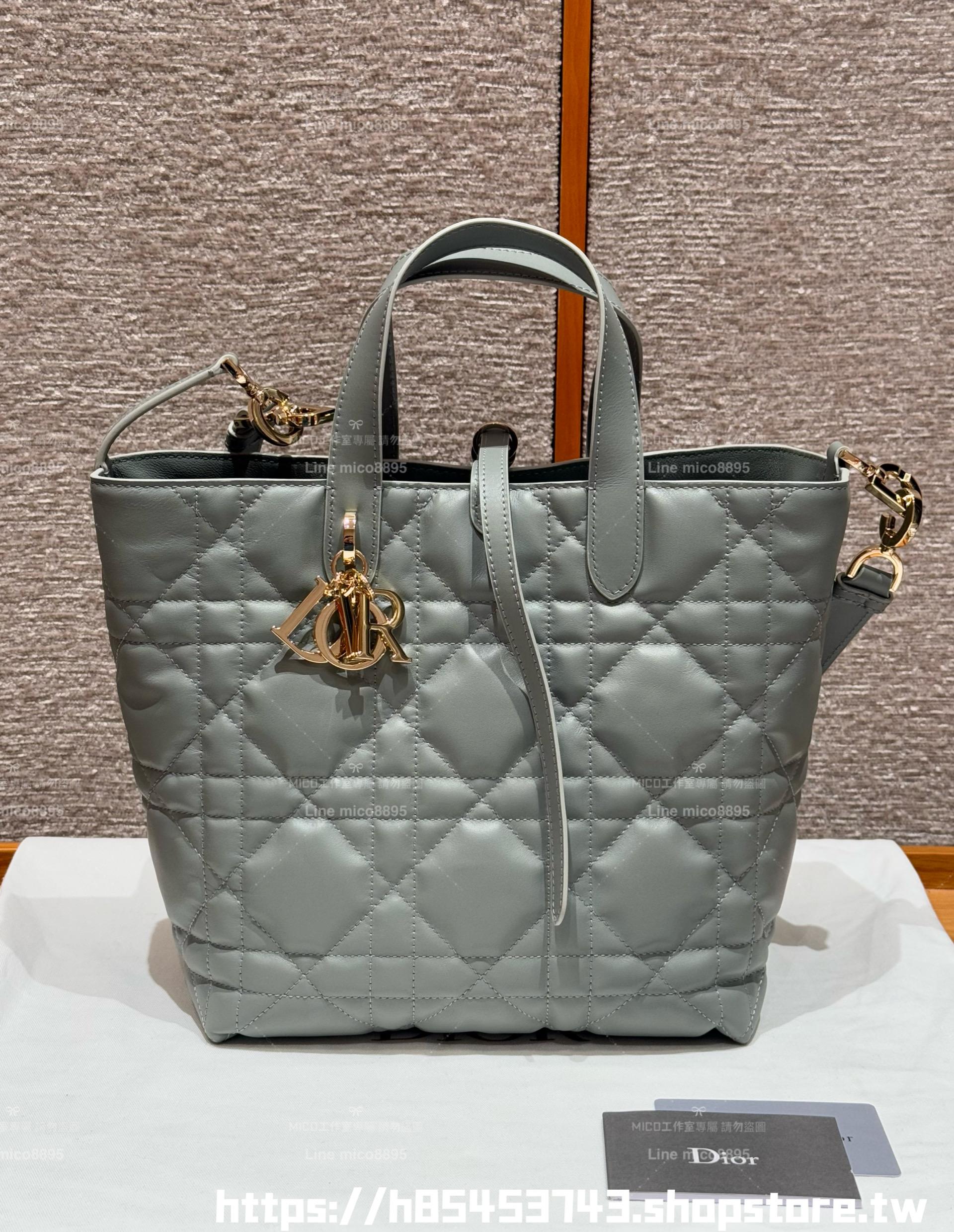DIOR 中號 白色/杏色/黑色/粉色/石灰色/焦糖色 柔軟小牛皮 Toujours 中型直式托特包/菜籃子 手提斜挎包 23*24cm